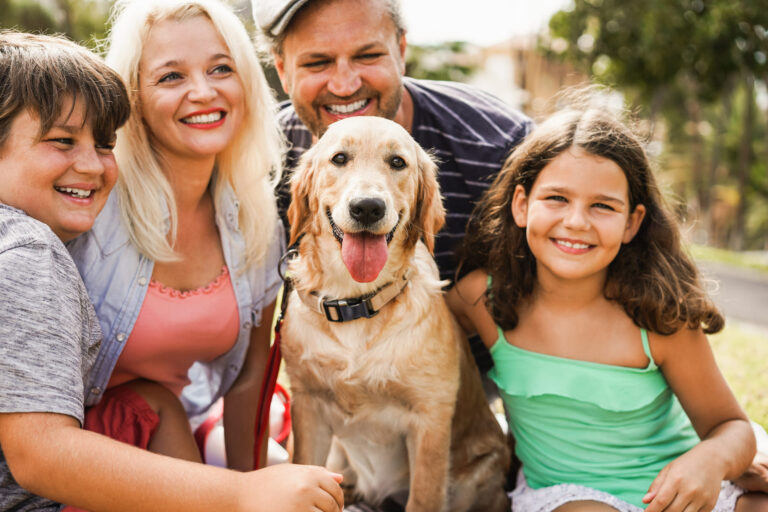 Les fondamentaux de l’éducation de votre chien